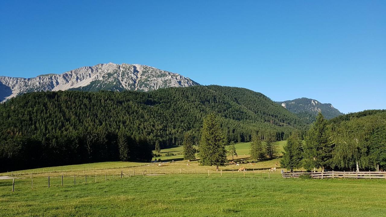 Ferienwohnungen Mamauwiese Gutenstein 외부 사진