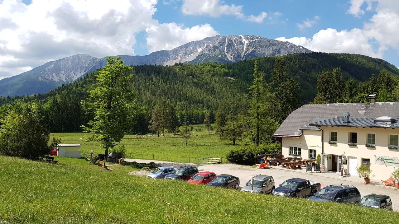 Ferienwohnungen Mamauwiese Gutenstein 외부 사진