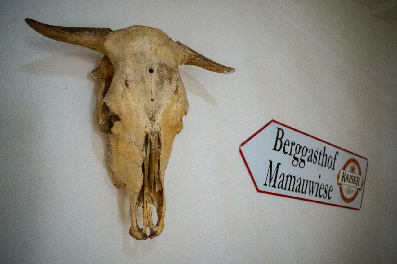 Ferienwohnungen Mamauwiese Gutenstein 외부 사진